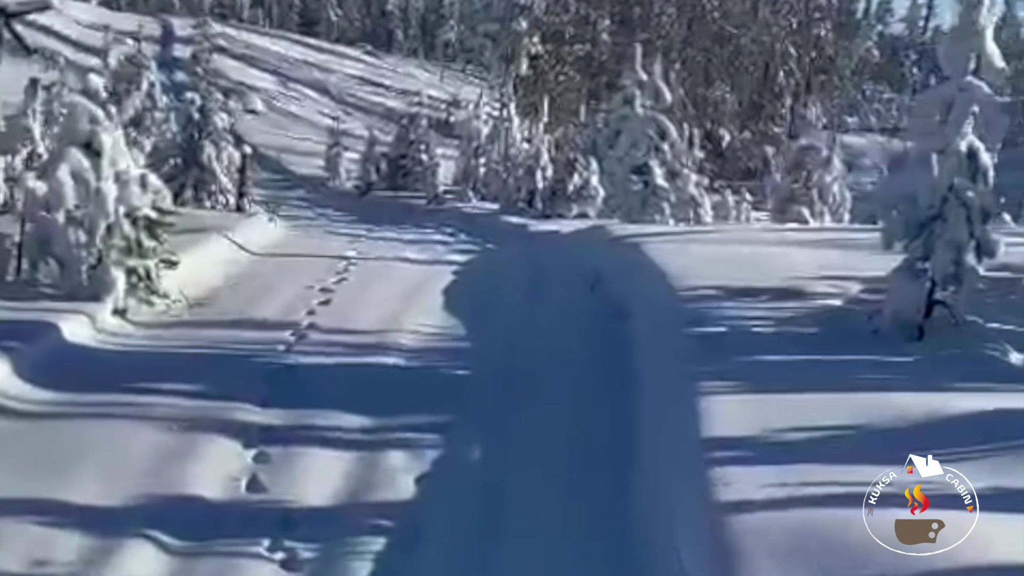 Snowmobile day tour